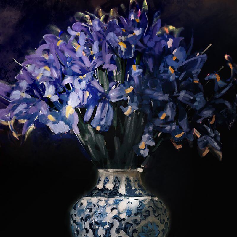 Iris in Vase
